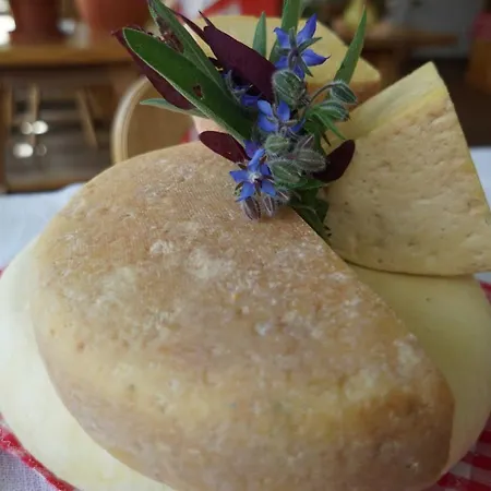 Hainererhof * Маутерндорф