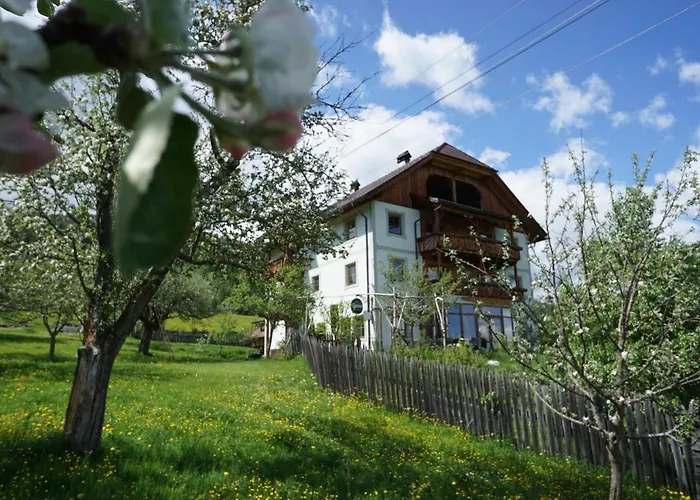 Hainererhof Szálloda *