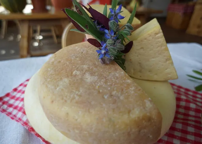 Hainererhof * Mauterndorf